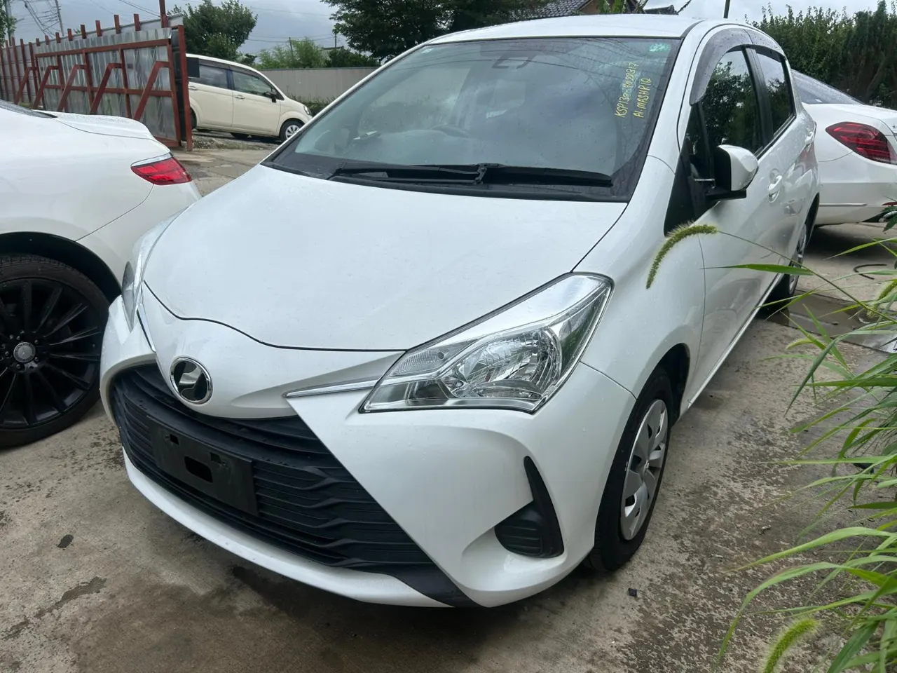 TOYOTA VITZ 2019 AM-35053