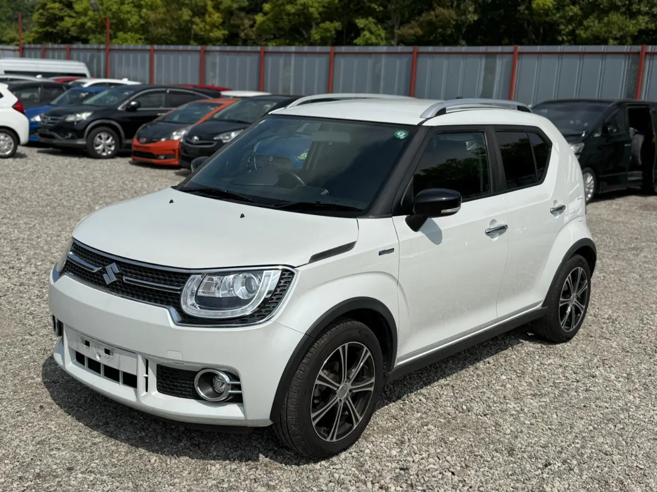 SUZUKI IGNIS 2017 AM-35613