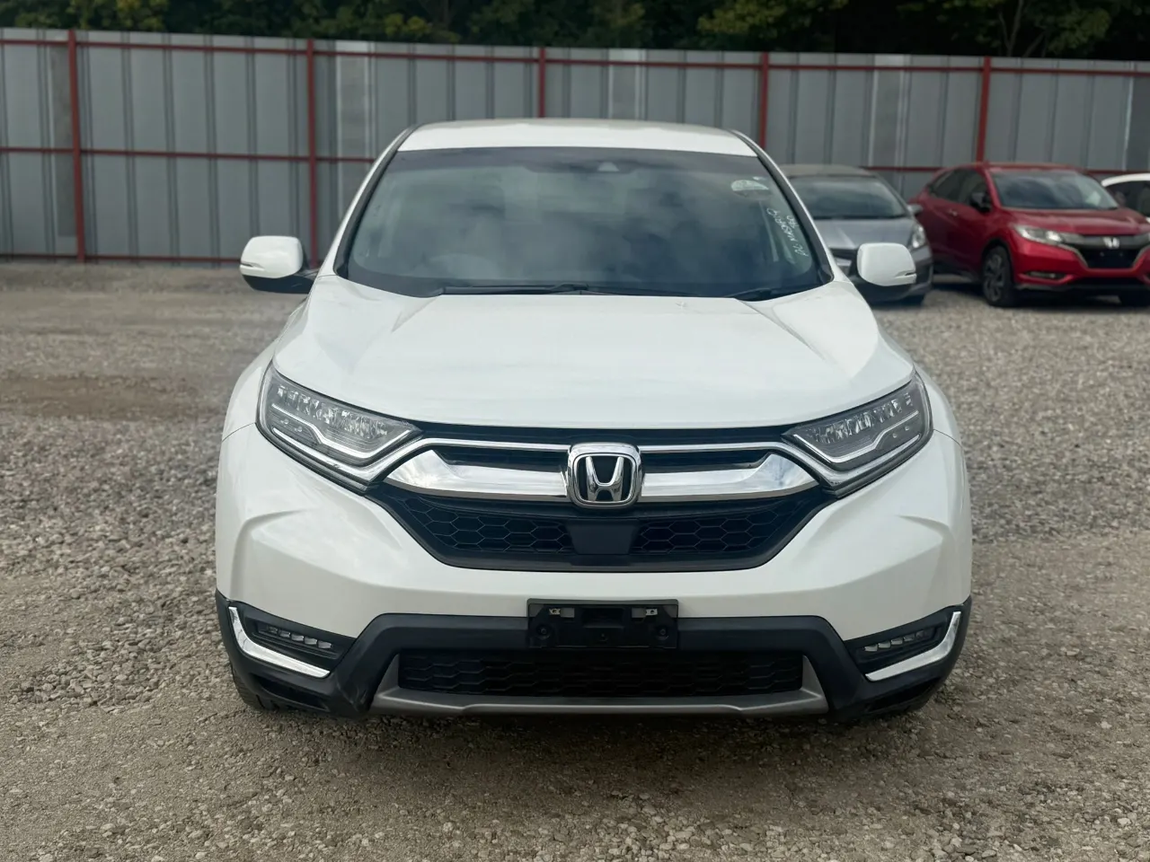 HONDA CR-V 2019 — photo 6