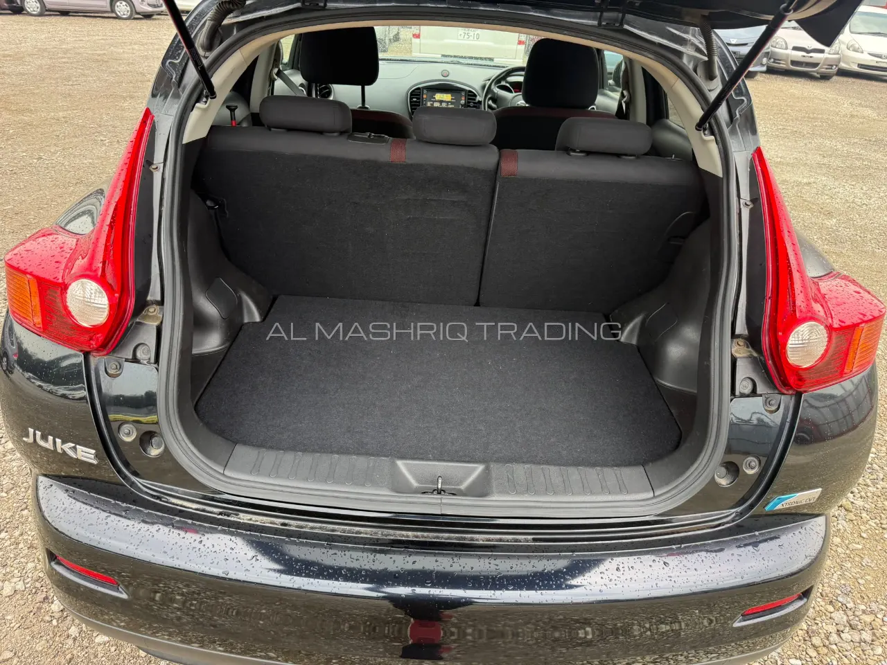 NISSAN JUKE 2011 — photo 6