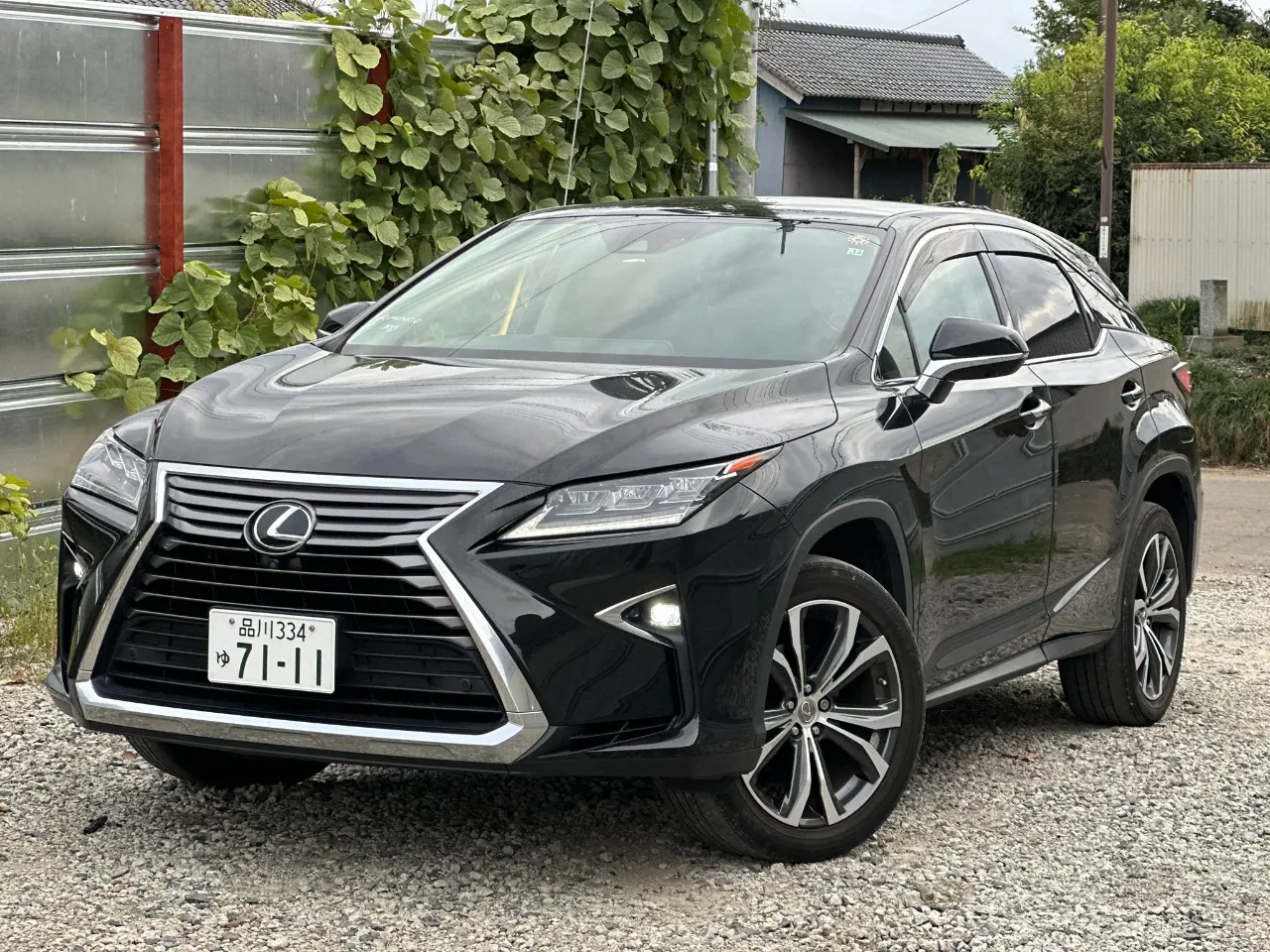 LEXUS LEXUS RX 2017 AM-34661