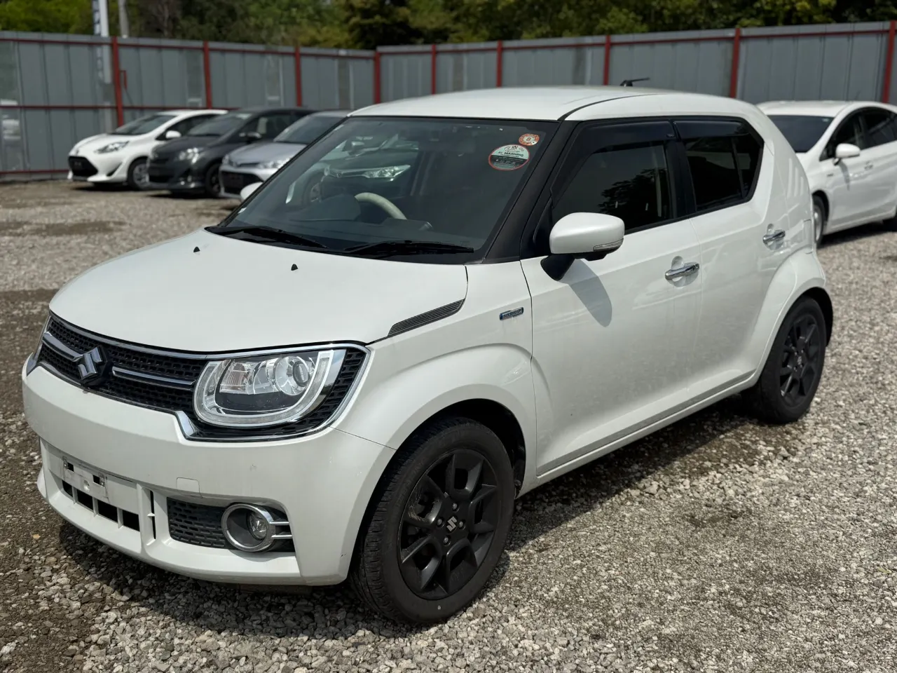 SUZUKI IGNIS 2016 AM-35527