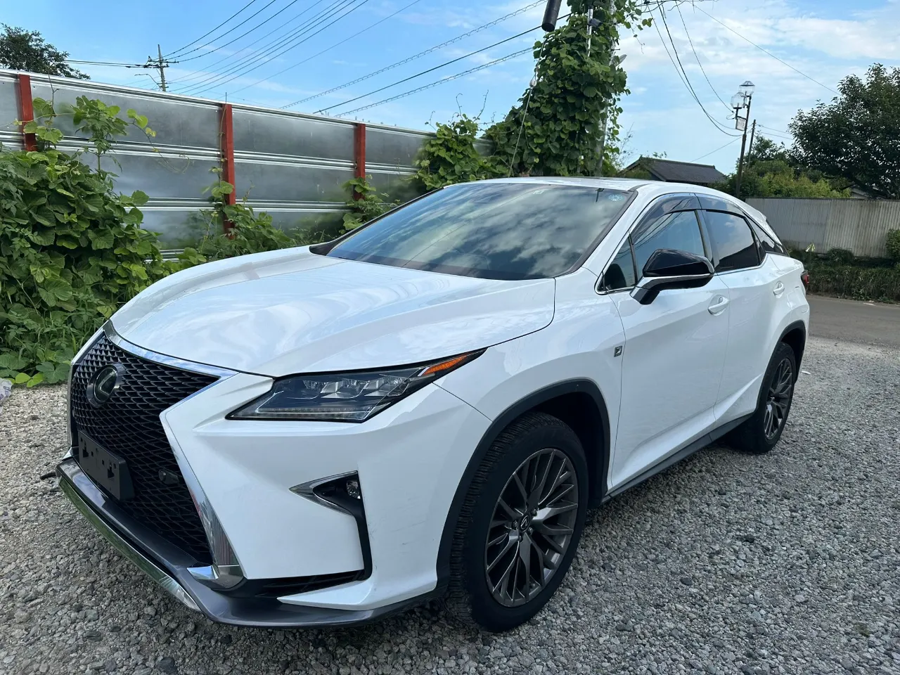 LEXUS LEXUS RX 2017 AM-34664